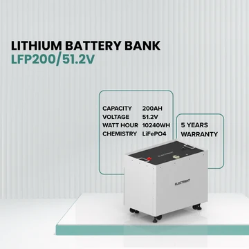 Lithium Battery LFP200/51.2V